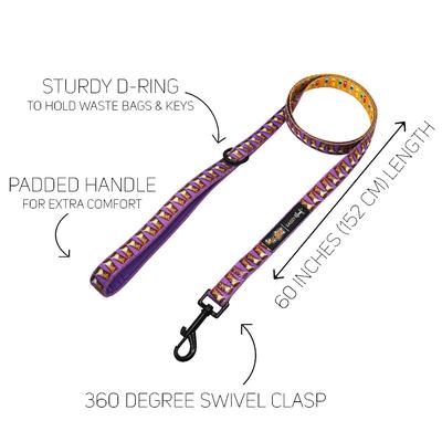 Show full view: Sassy Woof Willy Wonka & The Chocolate Factory Dog Leash, 5-ft long, 4/5-in wide slide 3 of 7