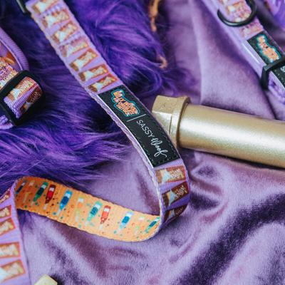 Show full view: Sassy Woof Willy Wonka & The Chocolate Factory Dog Leash, 5-ft long, 4/5-in wide slide 4 of 7