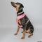 Show in main carousel: Sassy Woof Western Barbie Dog Collar, Medium: 19.7-in neck, 3/4-in wide slide 6 of 6
