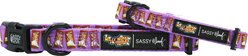 Sassy Woof Willy Wonka & The Chocolate Factory Dog Collar, Large: 26-in neck, 1-in wide slide 1 of 7