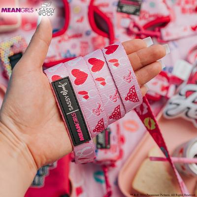 Show full view: Sassy Woof Mean Girls Dog Leash, 5-ft long, 4/5-in wide slide 5 of 6