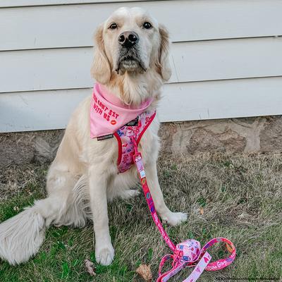 Show full view: Sassy Woof Mean Girls Adjustable Dog Harness, X-Large: 24 to 35-in chest slide 8 of 8