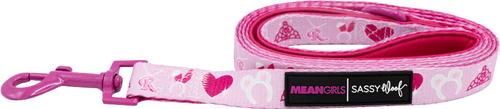 Show full view: Sassy Woof Mean Girls Dog Leash, 5-ft long, 4/5-in wide slide 2 of 6