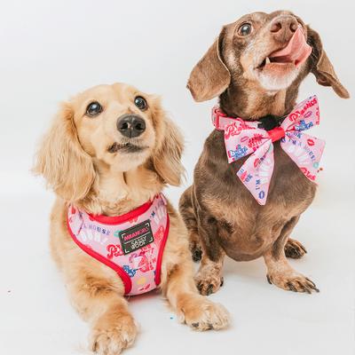 Show full view: Sassy Woof Mean Girls Adjustable Dog Harness, X-Large: 24 to 35-in chest slide 7 of 8