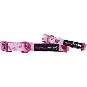 Sassy Woof Mean Girls Dog Collar, Large: 26-in neck, 1-in wide