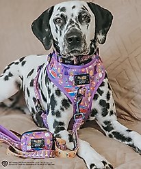 Sassy Woof Willy Wonka & The Chocolate Factory Adjustable Dog Harness, X-Small: 14 to 19-in chest slide 2 of 7