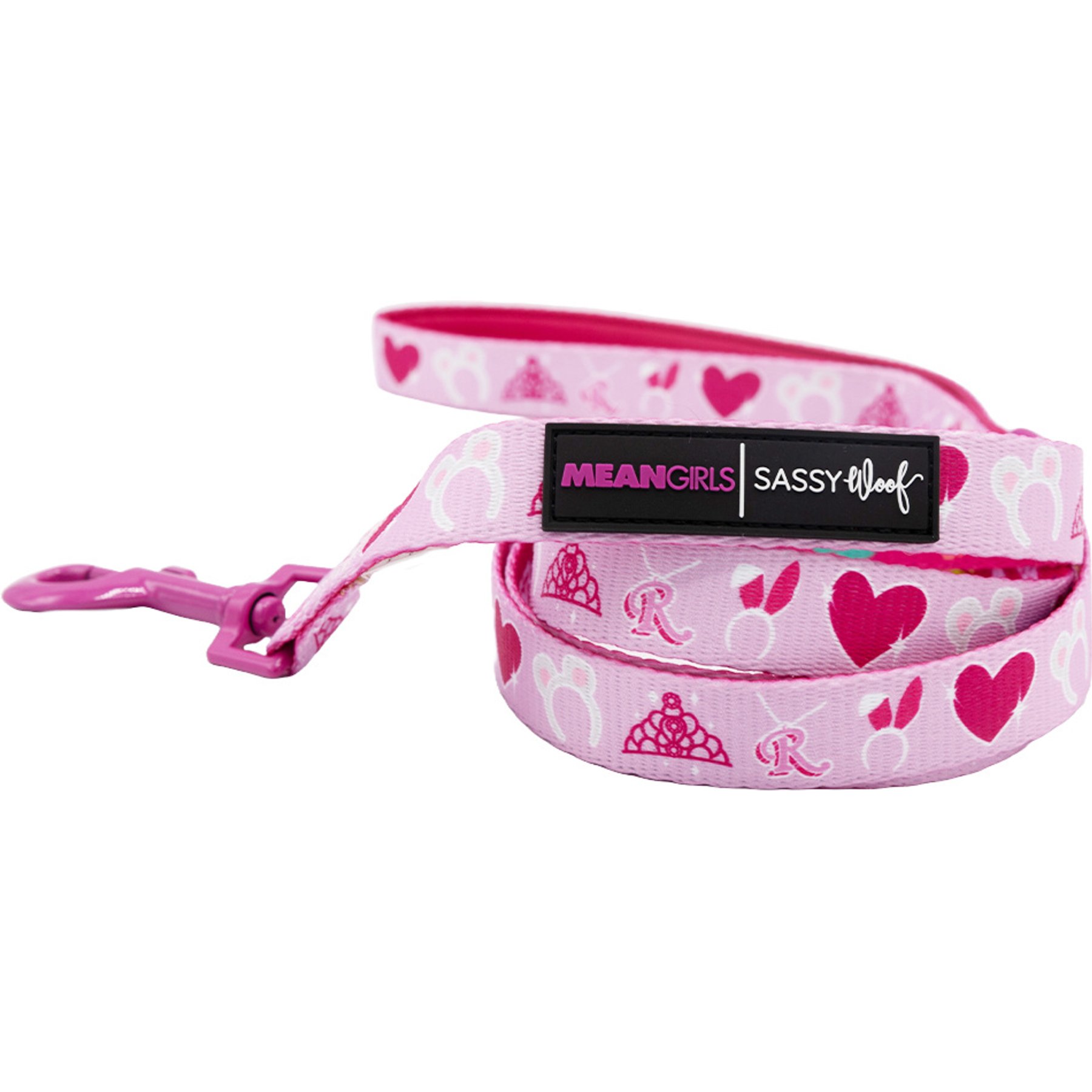 Sassy Woof Mean Girls Dog Leash, 5-ft long, 4/5-in wide