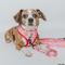 Show in main carousel: Sassy Woof Western Barbie Dog Leash, 5-ft long, 4/5-in wide slide 6 of 7