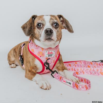 Show full view: Sassy Woof Western Barbie Dog Leash, 5-ft long, 4/5-in wide slide 6 of 7