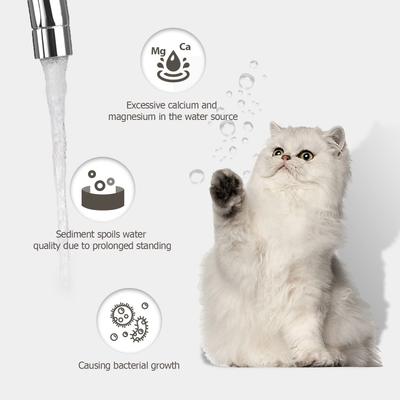 Show full view: PEKTACO Stainless Steel Cat Water Fountain Replacement Filters & Replacement Pre-Filter Sponges, 9 count slide 3 of 10