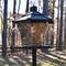 Show in main carousel: Pennington Earth Smart Recycled EcoGazebo Bird Feeder, Black slide 8 of 12