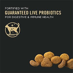 Purina Pro Plan Chicken & Rice Formula with Probiotics High Protein Cat Food, 16-lb bag