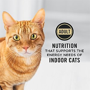 Purina Pro Plan Adult Indoor Hairball Management Salmon & Rice Formula Dry Cat Food, 7-lb bag