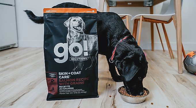 Go! Solutions Skin + Coat Care Chicken Recipe Dry Dog Food
