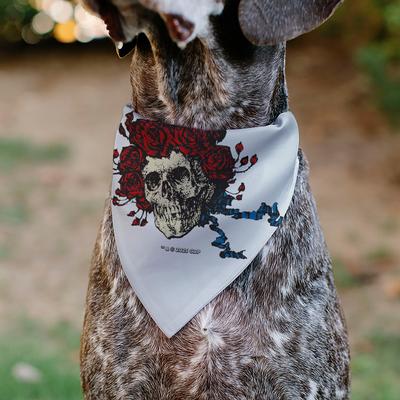 Show full view: Buckle-Down Grateful Dead Skull & Rose Face Slide-On Dog Bandana slide 5 of 6