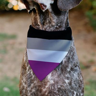 Show full view: Buckle-Down Asexual Flag Slide-On Dog Bandana, Grey slide 5 of 6