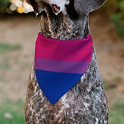 Buckle-Down Bisexual Flag Slide-On Dog Bandana slide 2 of 6