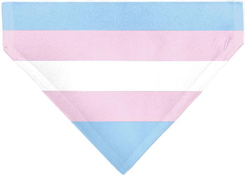 Show full view: Buckle-Down Transgender Flag Slide-On Dog Bandana slide 2 of 6
