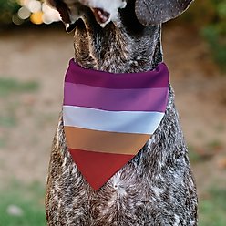 Buckle-Down Lesbian Five Stripe Flag Slide-On Dog Bandana slide 2 of 7