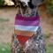 Show in main carousel: Buckle-Down Lesbian Five Stripe Flag Slide-On Dog Bandana slide 4 of 6