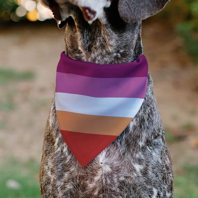 Show full view: Buckle-Down Lesbian Five Stripe Flag Slide-On Dog Bandana slide 4 of 6