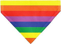 Buckle-Down Colorado Pride Flag Slide-On Dog Bandana slide 2 of 6