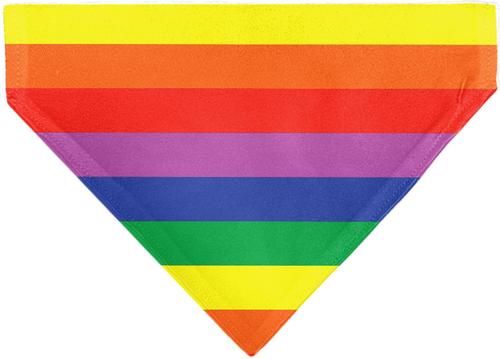 Show full view: Buckle-Down Colorado Pride Flag Slide-On Dog Bandana slide 2 of 6