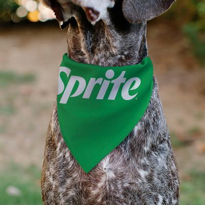 Show full view: Buckle-Down Sprite Text Logo Slide-On Dog Bandana slide 4 of 6