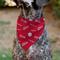 Show in main carousel: Buckle-Down Coca-Cola Coke Quotes Scattered Slide-On Dog Bandana slide 4 of 6