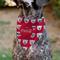 Show in main carousel: Buckle-Down Enjoy Coca-Cola Logo & Polar Bear Expressions Slide-On Dog Bandana, Red slide 4 of 6