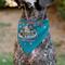 Show in main carousel: Buckle-Down Elf Treat Everyday Like Christmas Buddy & Friends Pose Slide-On Dog Bandana, Blue slide 4 of 6
