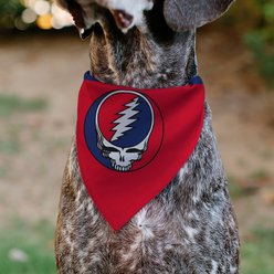 Buckle-Down Grateful Dead Steal Your Face Logo Centered Slide-On Dog Bandana slide 2 of 6