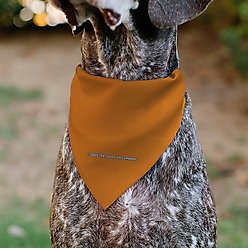 Buckle-Down Fanta Orange Round Logo Slide-On Dog Bandana, Orange slide 2 of 6