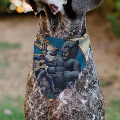 Show full view: Buckle-Down Grateful Dead Dave's Picks Volume Five Truman UCLA Cover Art Slide-On Dog Bandana slide 5 of 6