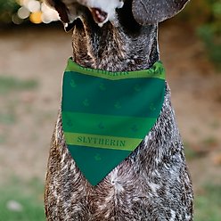 Buckle-Down Harry Potter Slytherin Traits Banner & Icons Slide-On Dog Bandana slide 2 of 6