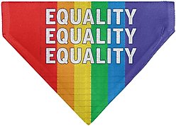 Buckle-Down Equality Blocks Rainbow Slide-On Dog Bandana slide 2 of 6