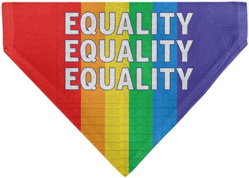 Show full view: Buckle-Down Equality Blocks Rainbow Slide-On Dog Bandana slide 2 of 6