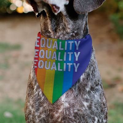 Show full view: Buckle-Down Equality Blocks Rainbow Slide-On Dog Bandana slide 5 of 6