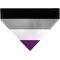 Show in main carousel: Buckle-Down Asexual Flag Slide-On Dog Bandana, Grey slide 1 of 6