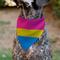 Show in main carousel: Buckle-Down Pansexual Flag Slide-On Dog Bandana slide 4 of 6