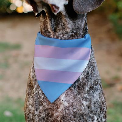 Show full view: Buckle-Down Transgender Flag Slide-On Dog Bandana slide 5 of 6
