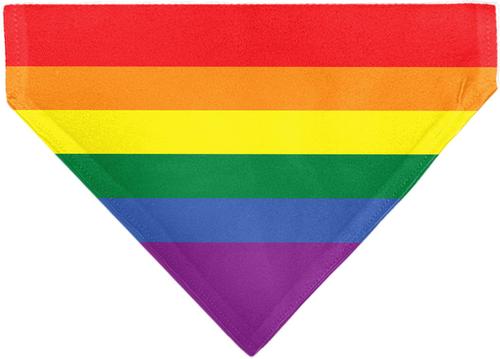 Show full view: Buckle-Down Pride Rainbow Flag Slide-On Dog Bandana slide 2 of 6