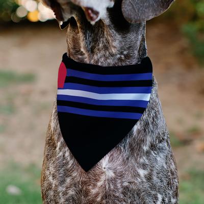Show full view: Buckle-Down Leather Flag Slide-On Dog Bandana, Blue slide 5 of 7