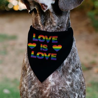 Show full view: Buckle-Down Valentine's Day Love Is Love Heart Rainbow Slide-On Dog Bandana slide 4 of 6