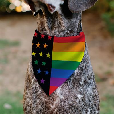 Show full view: Buckle-Down American Pride Rainbow Flag Slide-On Dog Bandana slide 4 of 6