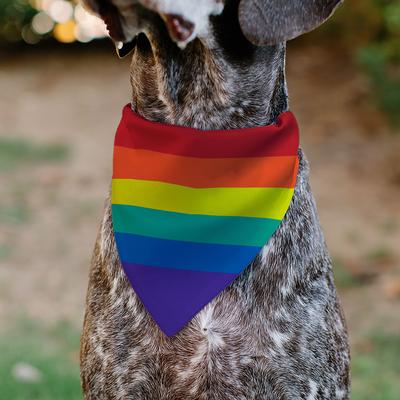 Show full view: Buckle-Down Rainbow Print Slide-On Dog Bandana slide 4 of 6