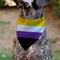 Show in main carousel: Buckle-Down Non-Binary Stripe Flag Slide-On Dog Bandana slide 6 of 7
