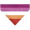 Show in main carousel: Buckle-Down Lesbian Five Stripe Flag Slide-On Dog Bandana slide 2 of 6