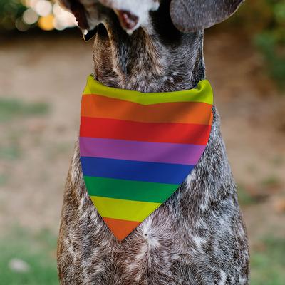 Show full view: Buckle-Down Colorado Pride Flag Slide-On Dog Bandana slide 5 of 6