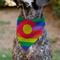 Show in main carousel: Buckle-Down Colorado Pride Flag Slide-On Dog Bandana slide 4 of 6